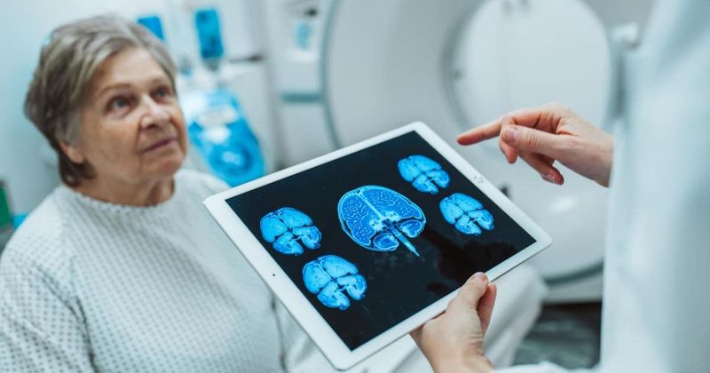 Scientists just built a 3D atlas for the human body, and it's just like the Google Maps