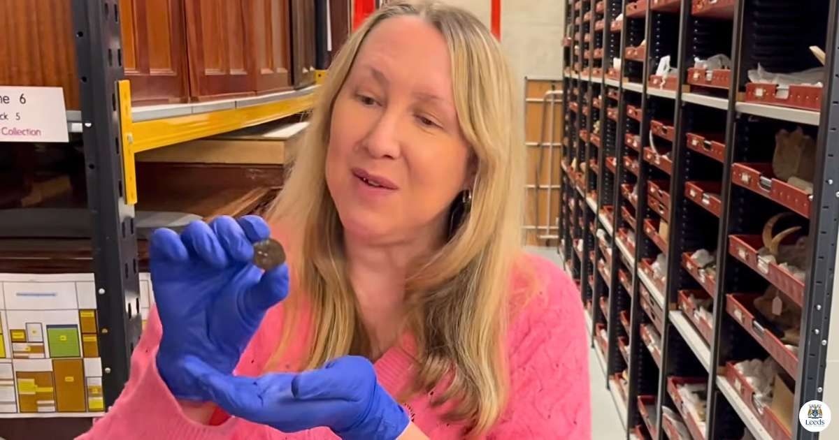 A Leeds cashier sorting loose change made an extraordinary find — an artifact dating back 2,000 years