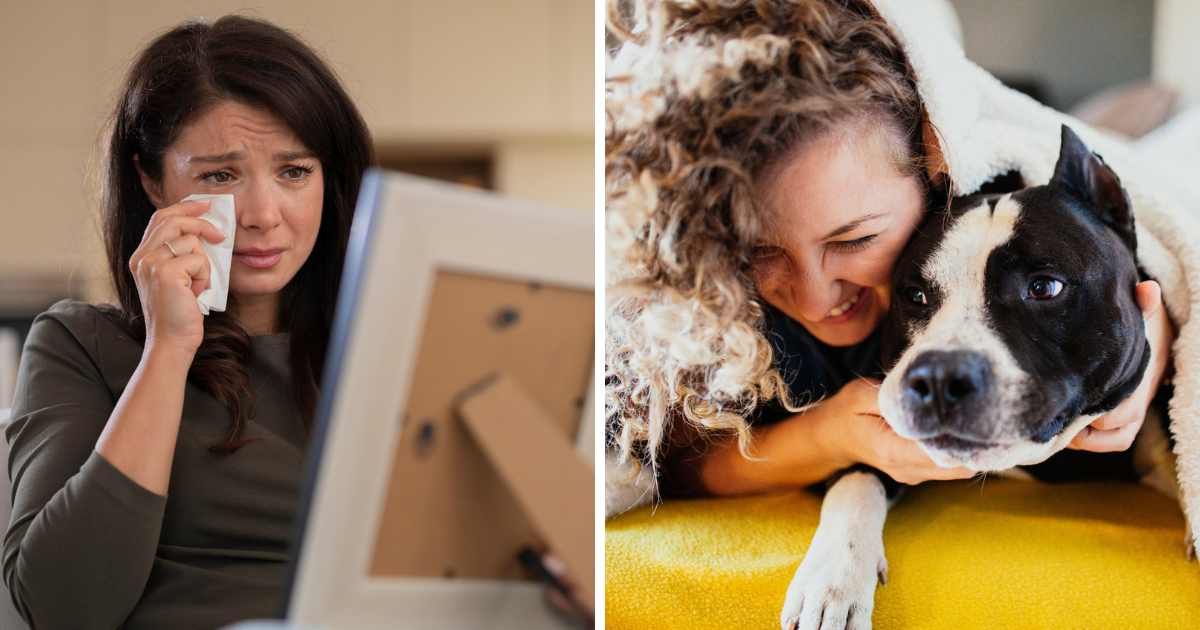 After 11 years, a random call about her lost pitbull felt like a prank — until she saw the photo and let out a gasp