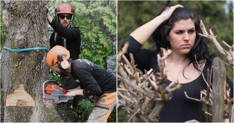 Construction crew said they were only 'trimming' her trees to help a neighbor. What they actually did left her in disbelief
