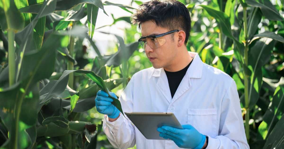 The FBI is using plants as 'silent witnesses' to solve complex crimes