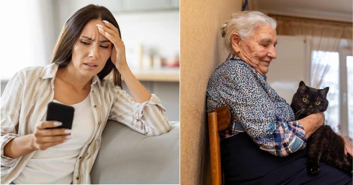 Prospective renter nearly signed the lease — until he realized the owner wanted him to pay $3,000 to take care of her two cats