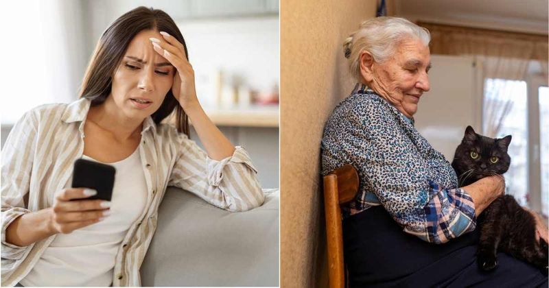 Prospective renter nearly signed the lease — until she realized the owner wanted her to pay $3,000 to take care of her two cats