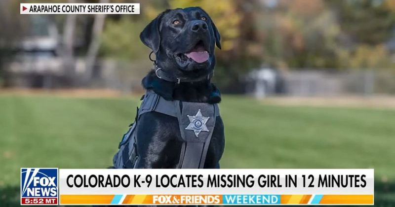 'Rookie' search dog sniffed a missing girl's sneakers. 12 minutes later, he ran into a backyard and refused to budge