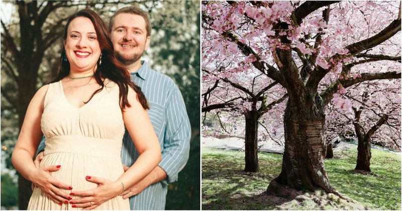 They planted a tree as teens in love. 17 years later, her mom sent a photo during her pregnancy that left her stunned