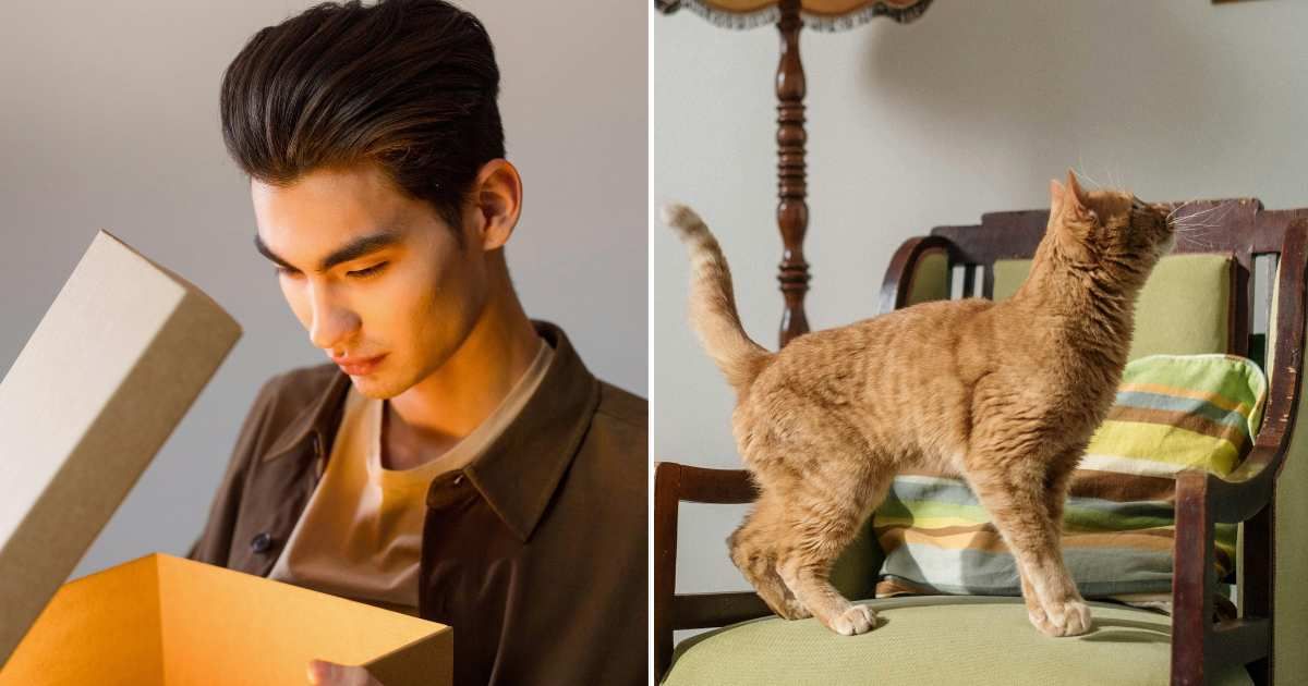 Cat kept scratching old armchair so he opened it — and accidentally found his late grandma's secret treasure