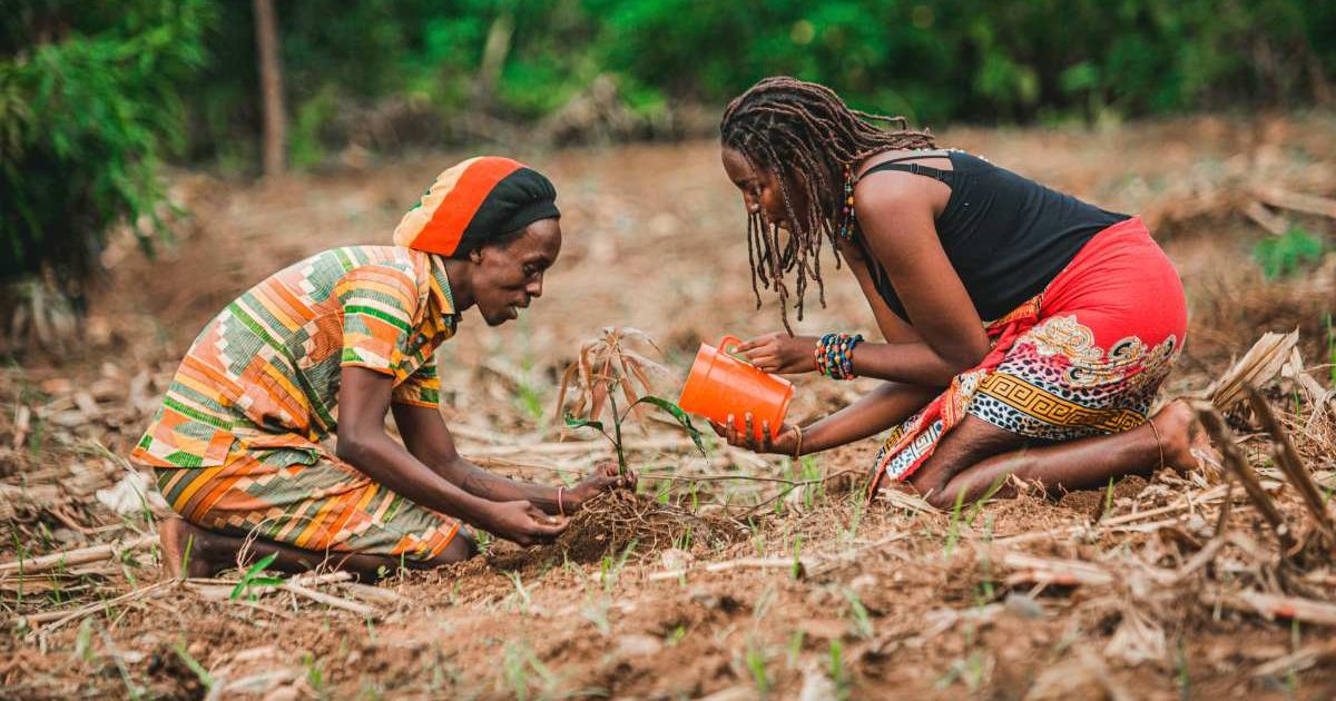 Scientists say farming reshaped the human nose — and our sense of smell hasn’t been the same since