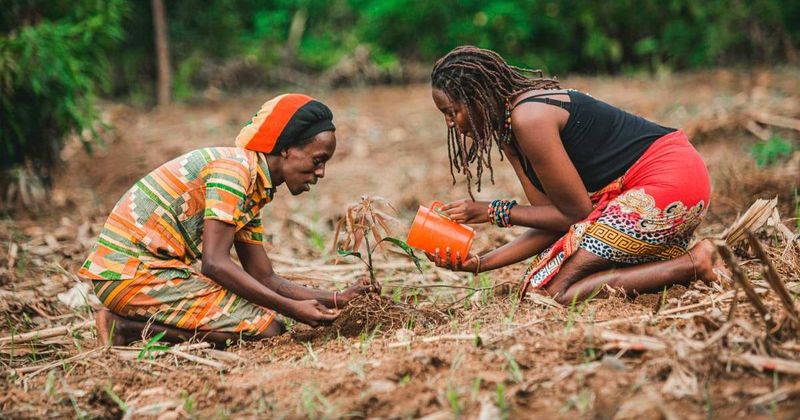Scientists say farming reshaped the human nose — and our sense of smell hasn’t been the same since
