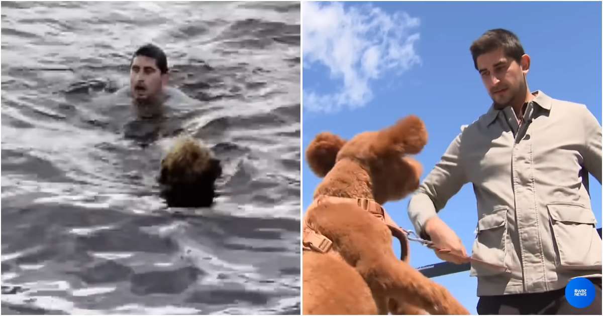 Bystanders were stunned when a man leapt into Boston’s freezing water — until they saw what he was after