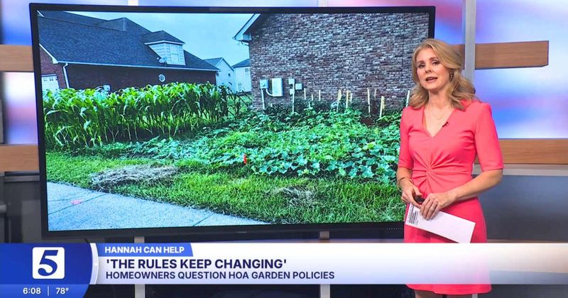 HOA's arbitrary rules put Tennessee man's 'daily produce' garden in jeopardy. His wife hit back with a lethal response