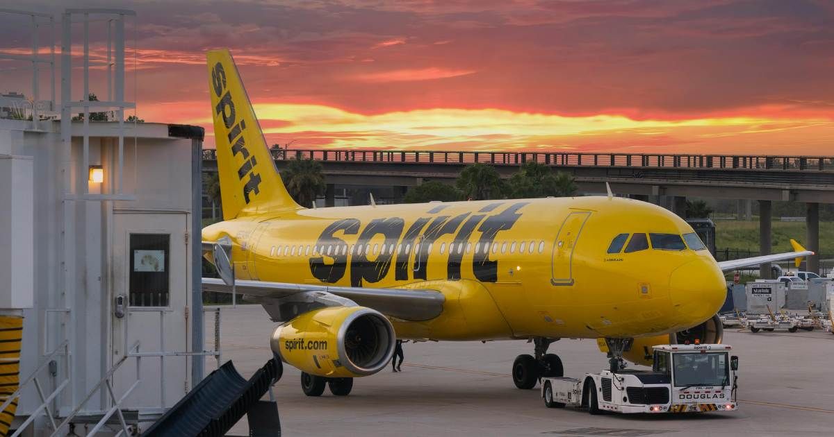 He tried to buy Spirit Airlines with a website — strangers pledged $22.8M in hours