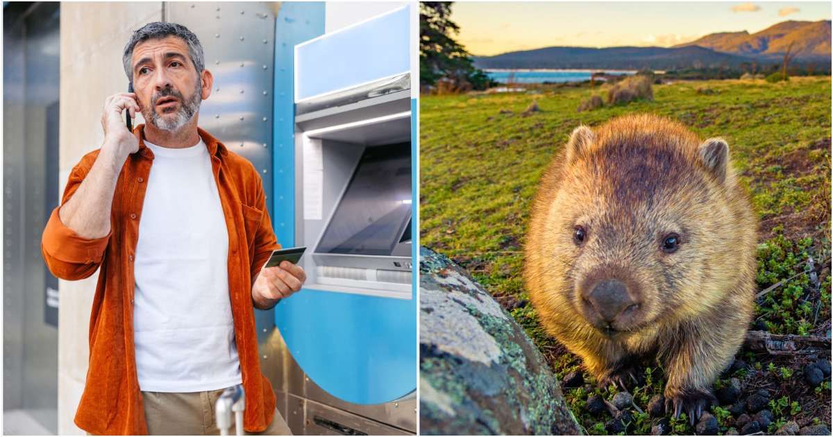 A man kept seeing a mysterious $13 monthly charge — the truth led him to a 'creature' called Trevor