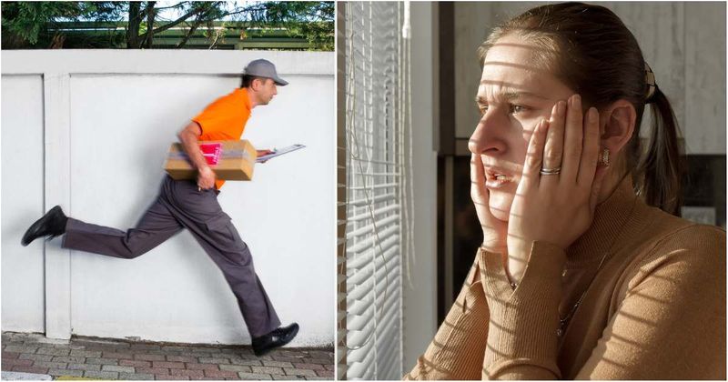 Neighbor caught the local UPS driver running for his life — the culprits were not what anyone expected