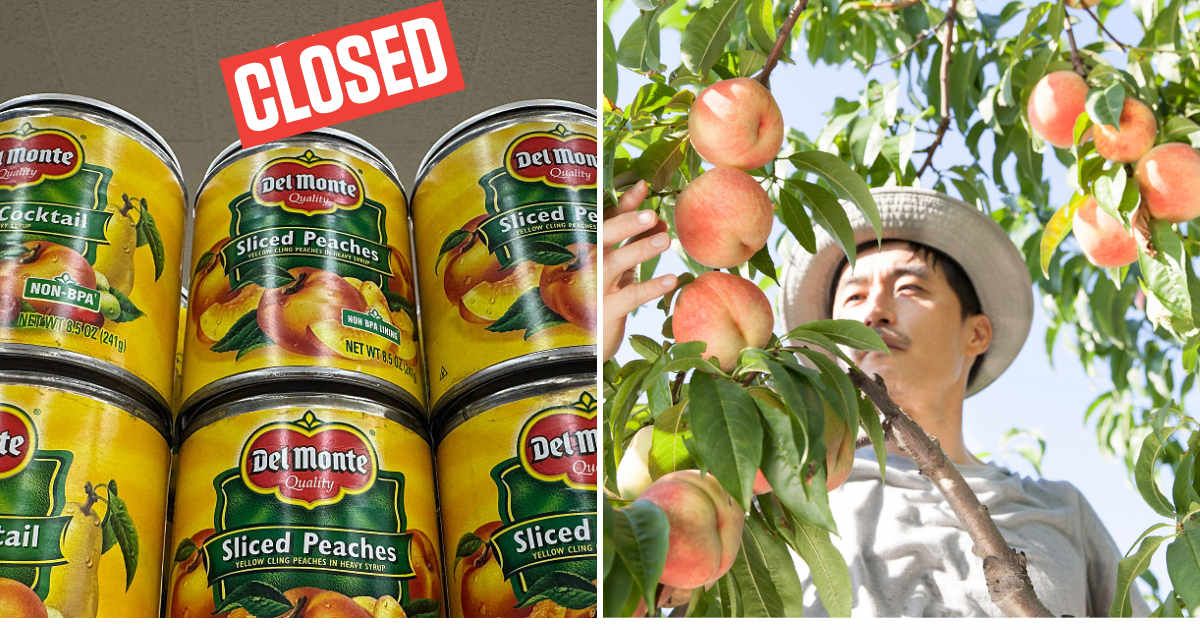 California farmers spent decades growing 420,000 peach trees — now they have to destroy every single one because their only buyer went bankrupt 