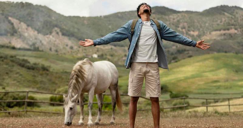 Feeling left behind? A Chinese proverb says this ‘donkey phase’ is where success truly begins