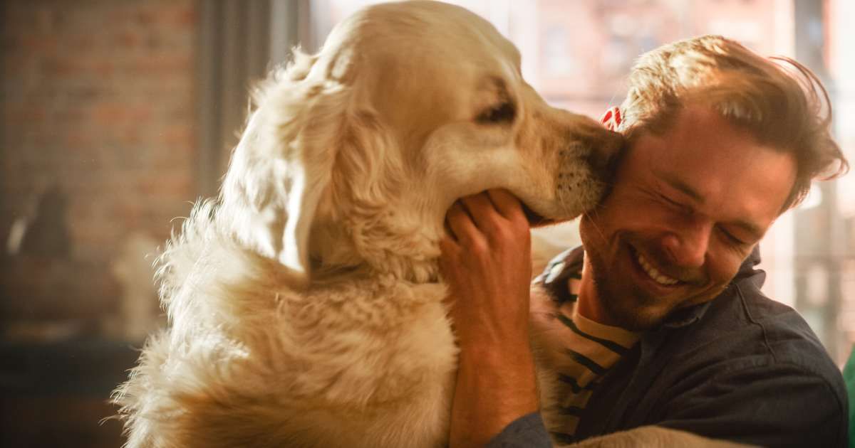 Her shy dog kept pouncing on a stranger’s crotch during walks. One detail in her apology saved the man's life