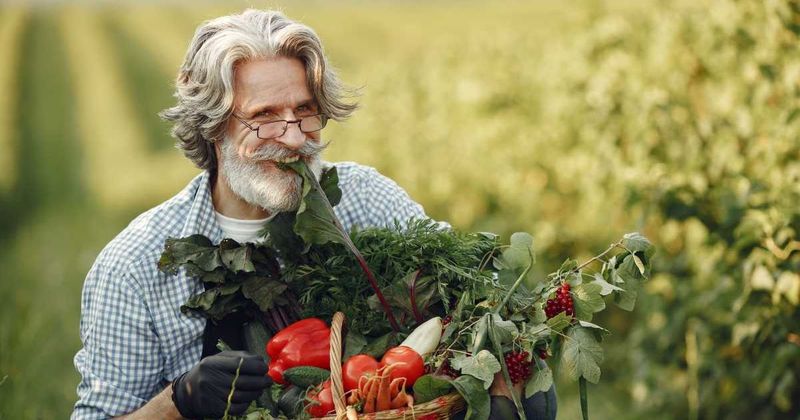 Supermarket produce looks perfect for a reason. A farmer says that's exactly the problem