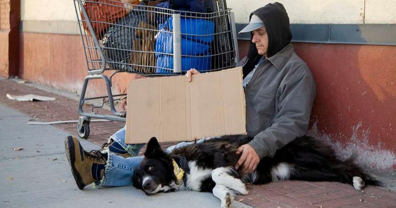 Why do homeless people have the best-behaved dogs?