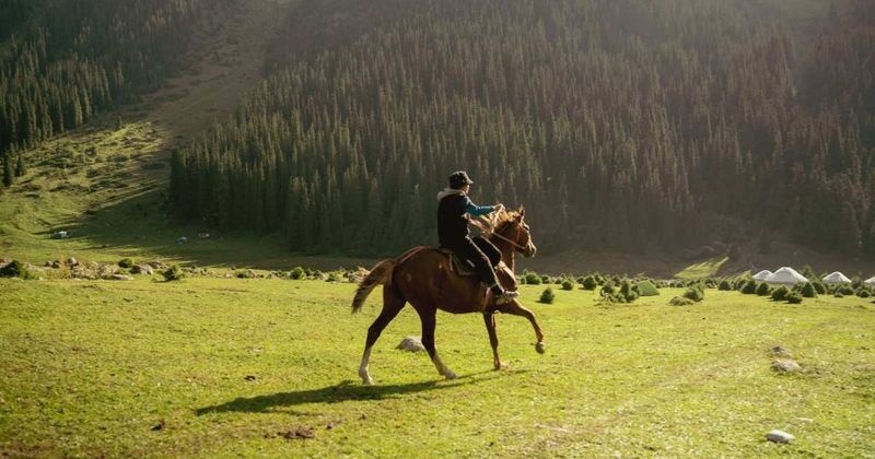 Her horse ride was interrupted by hundreds of tiny speakers on a hillside. They had one bizarre message