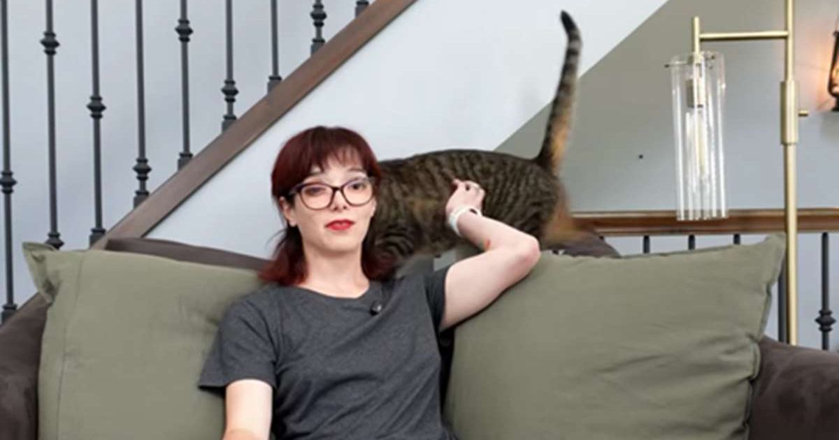7 months after escaping a toxic ex, she searched for 'evidence' in his voice recordings. Her cat's instant reaction was proof enough