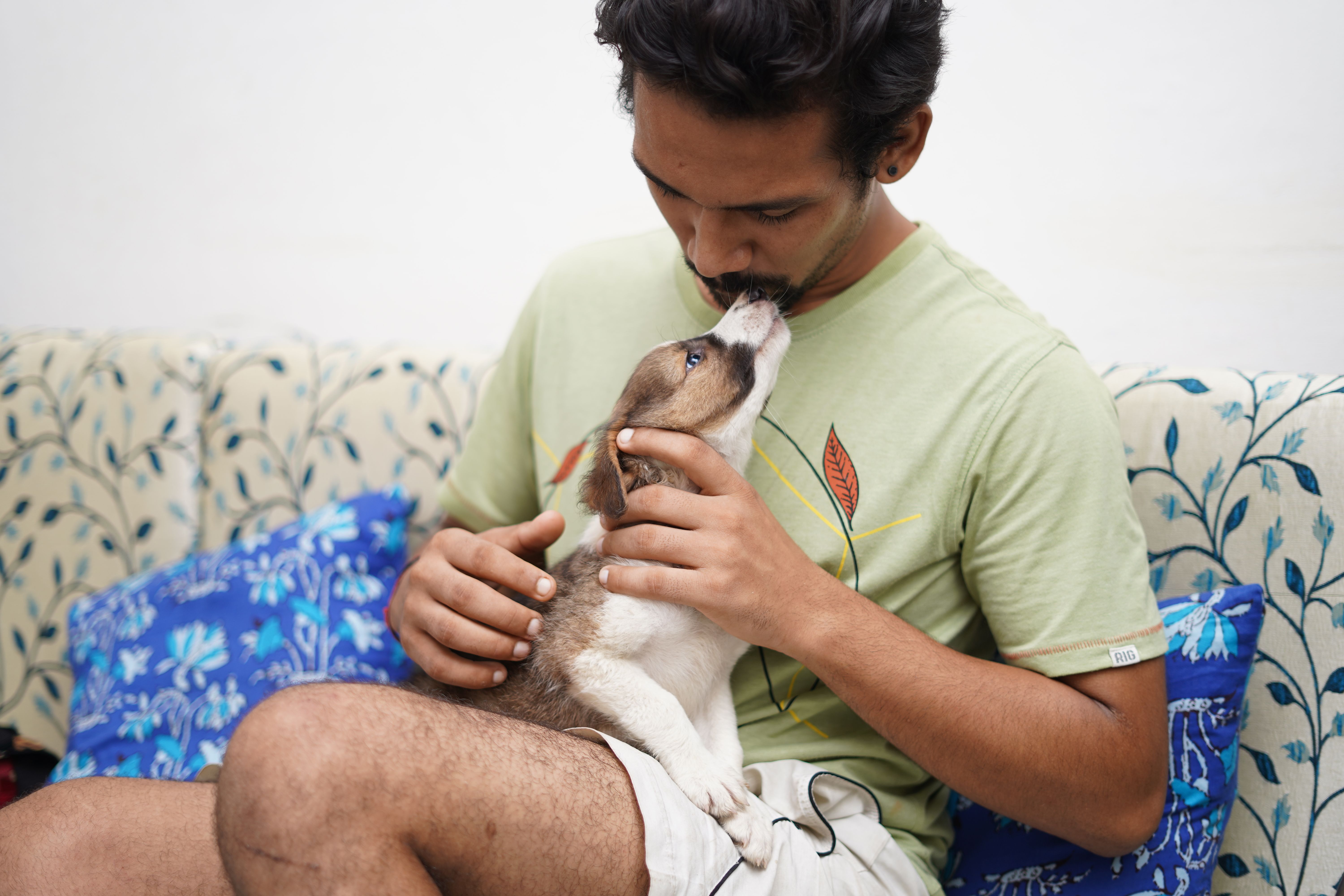 A man is kissing a beagle. (Representative Image Source: Pexels | Photo by Yogendra Singh)