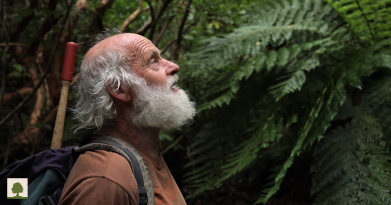 Botanist refused to uproot his ruined farmland in 1987. Today, it's full of birds and waterfalls