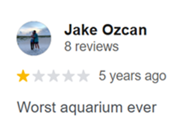 Negative review on New Bedford Whaling Museum (Image Source: Google)