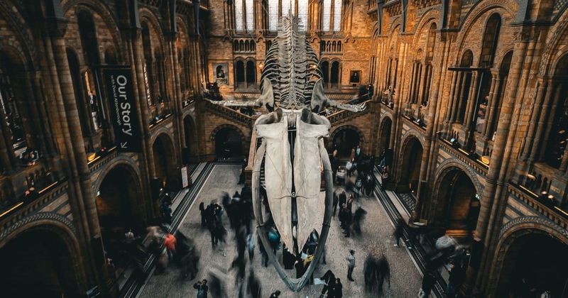 A 1-star review called a whaling museum the 'worst aquarium ever.' They agreed and put it on a shirt