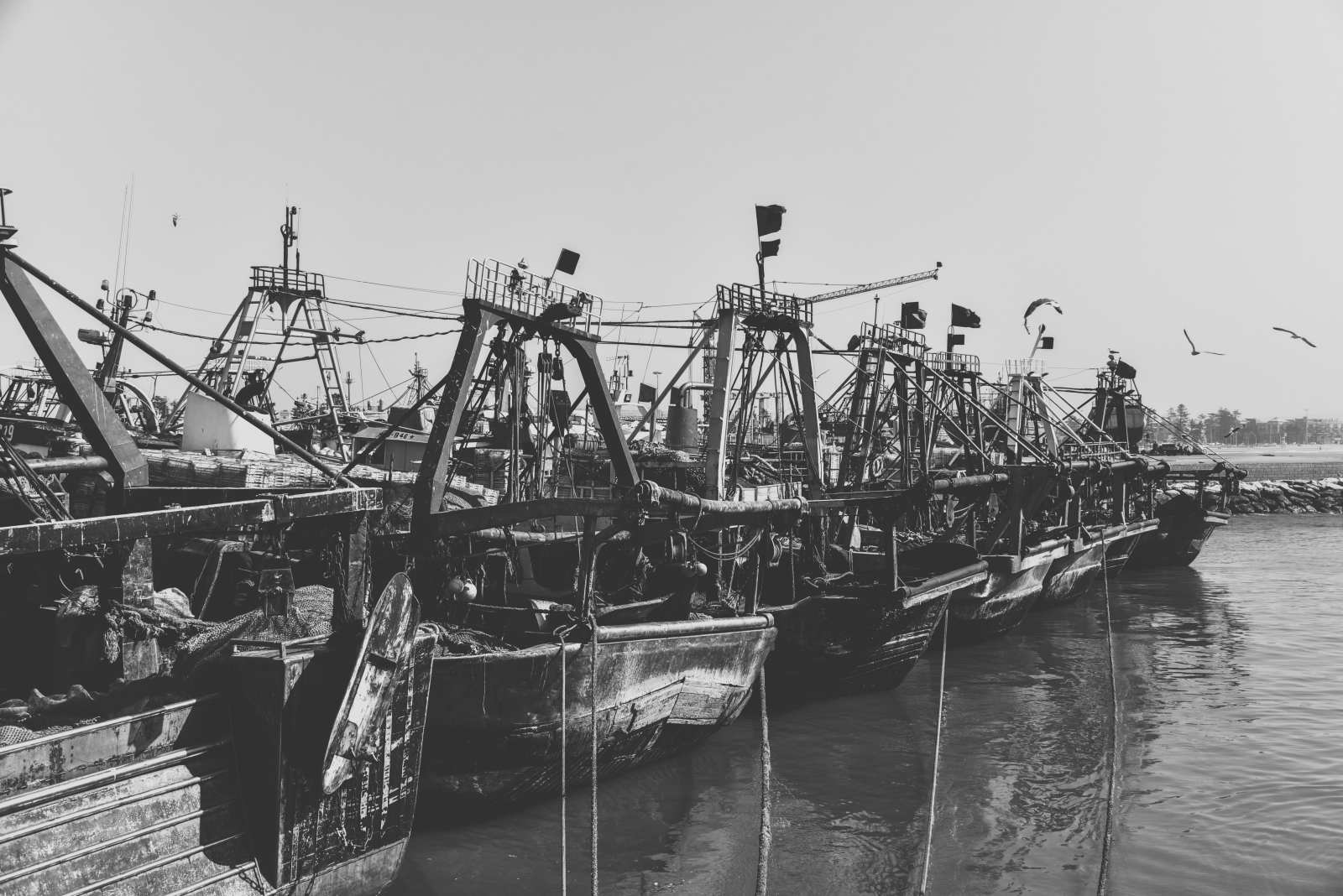 Ancient fishing trawler (Representative Image Source: Pexels | Photo by MAG Production)
