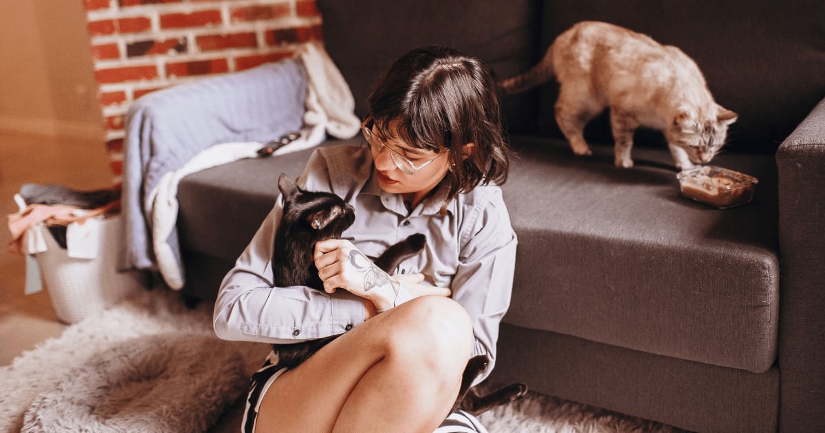 She 'cat-sat' for free and paid for her own groceries. Then she was fired for using olive oil and eating two slices of bread