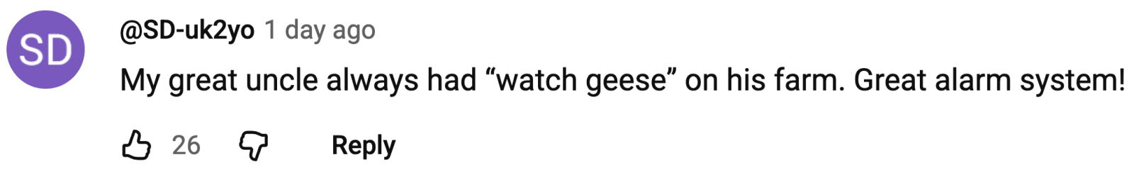 Image Source: YouTube | @SD-uk2yo