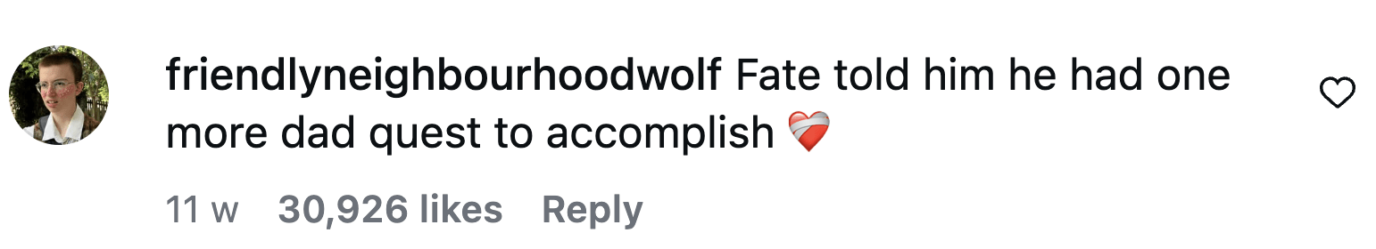 Image Source: Instagram | @friendlyneighbourhoodwolf