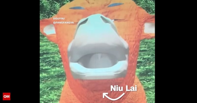 Terrible film that earned $1,400 in 10 days goes viral for its hilarious reviews — earns $2.5 million