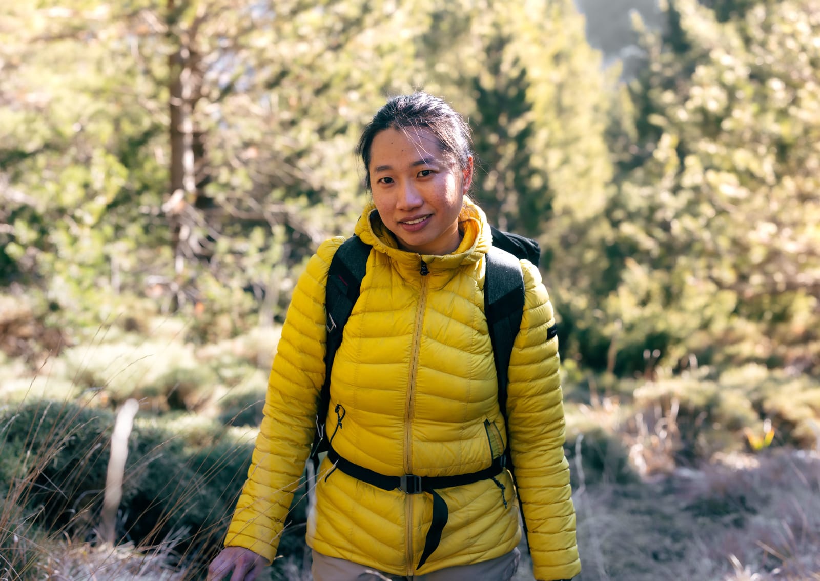 Woman hiking through a forest trail (Representative Image Source: Pexels | Photo)