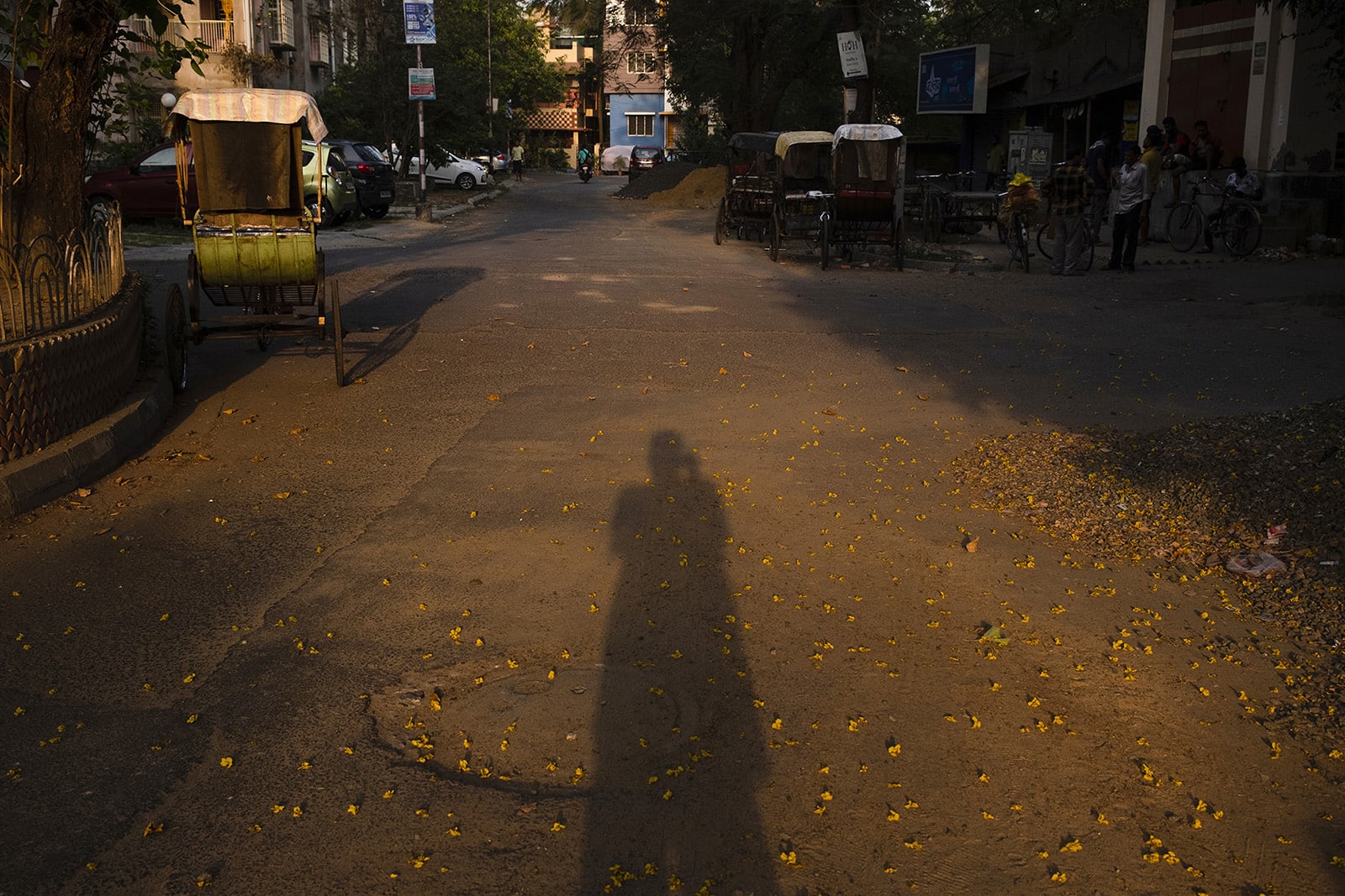 Flowers strewn across the road, along with the photographer's own shadow.