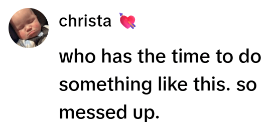 Image Source: TikTok | @christalynnxx