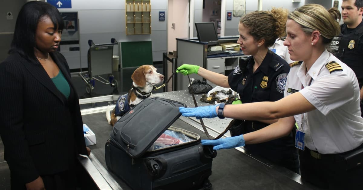 Woman taped a knife inside her carry-on and thought TSA wouldn't notice. Then a 22-year veteran asked one question — and she gave it all away