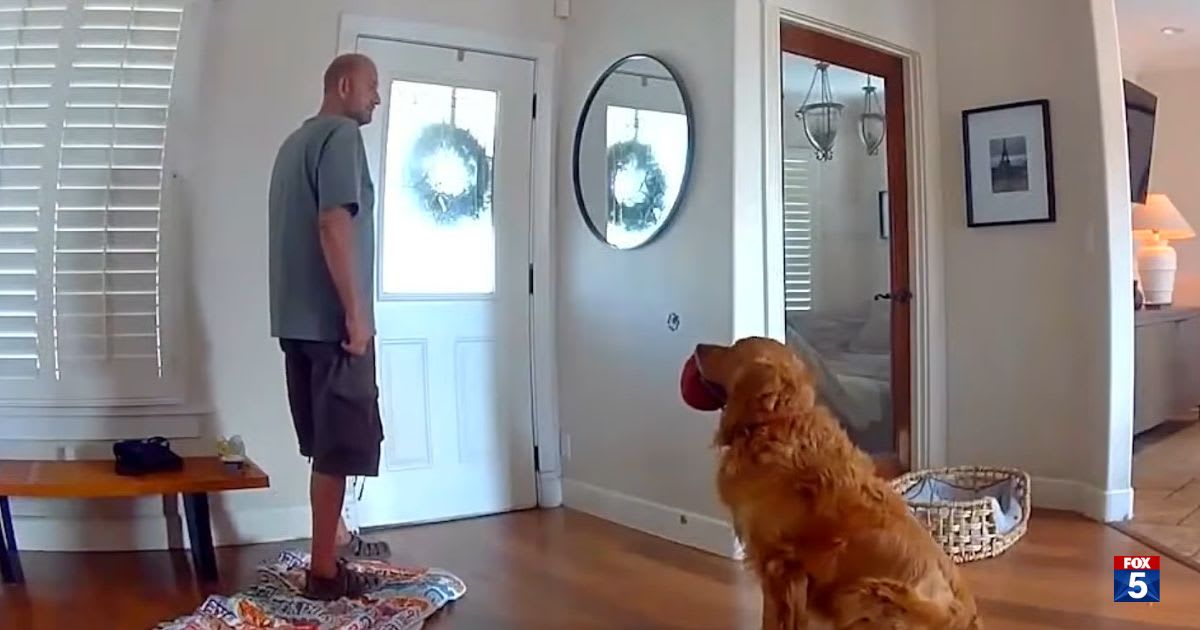 Intruder broke into San Diego home, ate yogurt and napped. Then they watched their dog bringing him a toy on camera