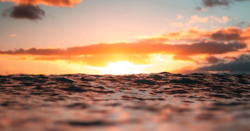 16 million years ago, oceans were warmer than today yet had more oxygen
