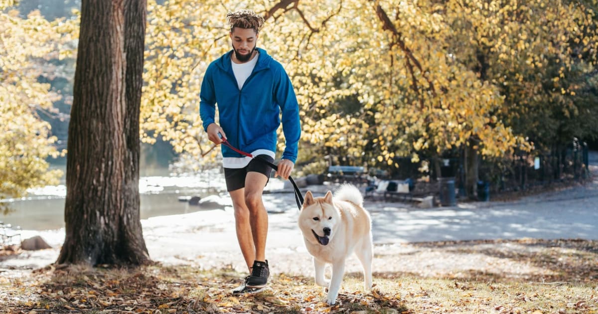 Dog owner kept tossing poop bags into the grass 12 feet from a trash can. One regular walker collected every bag and returned the favor