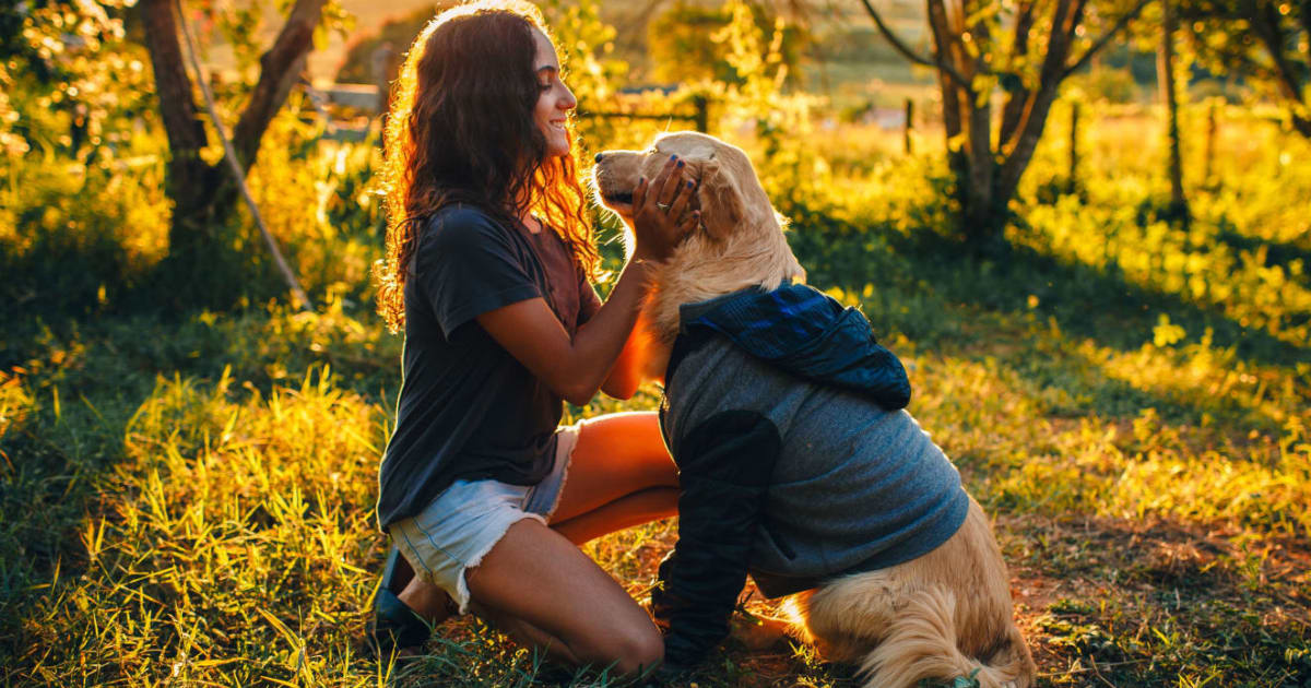This senior Golden Retriever could barely walk, until it started doing pilates