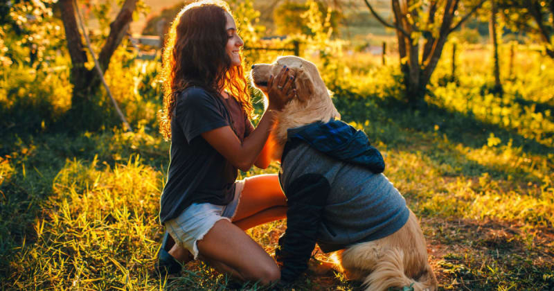 This senior Golden Retriever could barely walk, until it started doing pilates